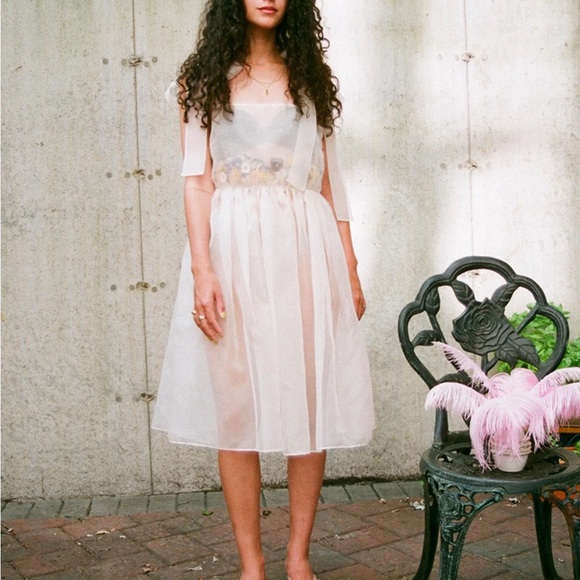 Dauphinette Dresses & Skirts - Dauphinette Miraflores Silk Organza Dress